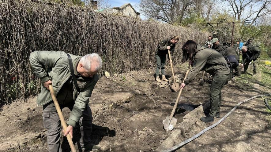 В Одесі в парку імені Тараса Шевченка з’явилися унікальні дуби з багатовіковою історією — ФОТО