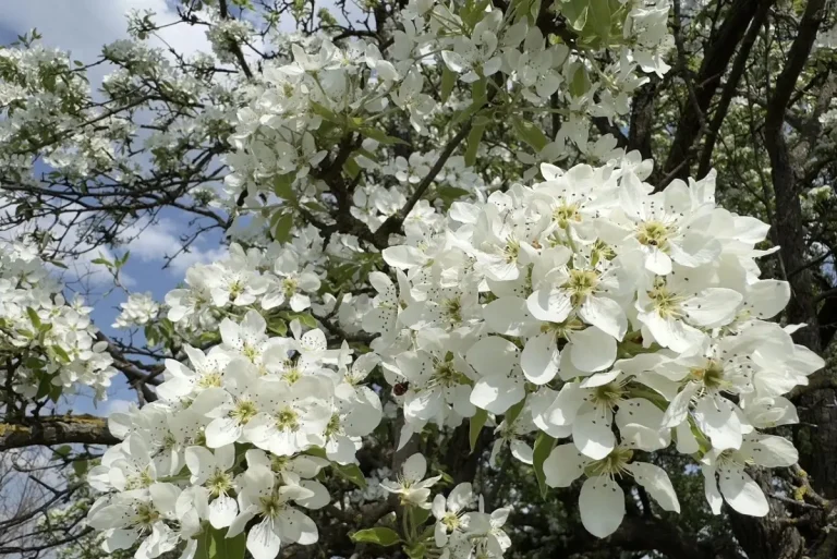 У суботу 25 квітня в Одесі та області очікується весняне потепління