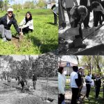У Болграді заклали Алею вдячності на місці, де десять років тому не прижилася «політика» — іронія долі й пам’ять коренів