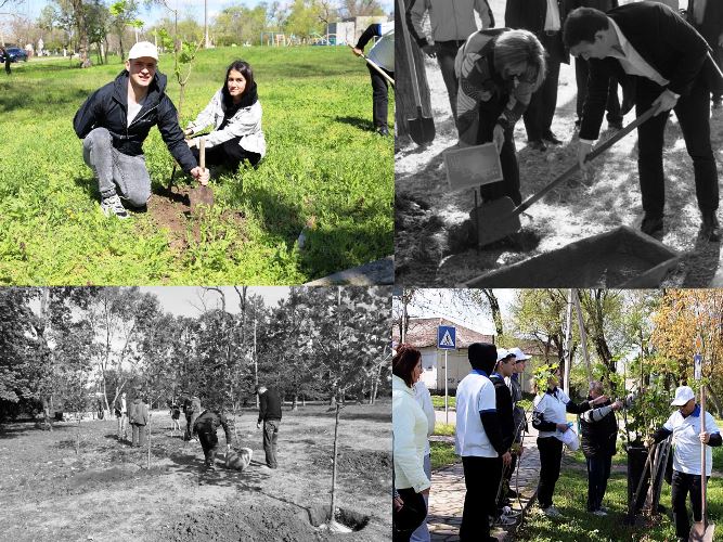 У Болграді заклали Алею вдячності на місці, де десять років тому не прижилася «політика» — іронія долі й пам’ять коренів