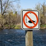 В Одещині вводять обмеження під час нересту на Дунаї та водоймах Дністра