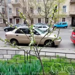 В Одесі встановиться весняне потепління, але в області вночі очікуються невеликі заморозки