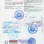 Эмиграция в Катар: особенности консульской легализации документов