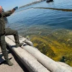 Втретє за два роки нафтова пляма перетворює Одеську затоку на зону екоциду