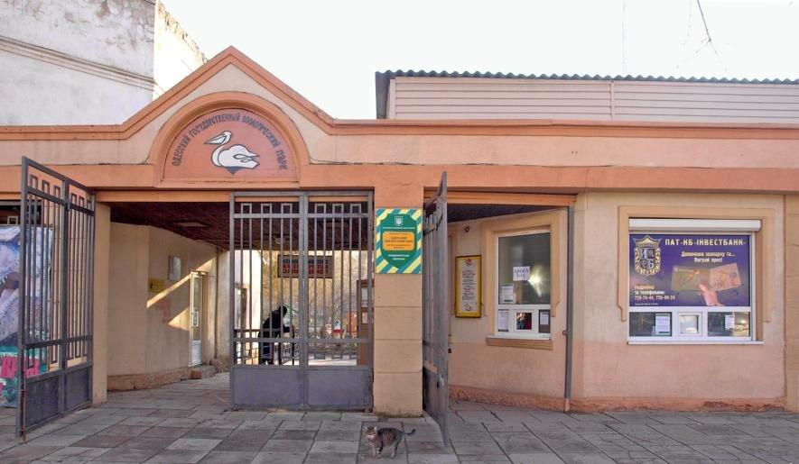 Контракт Ігоря Белякова завершено — він більше не очолює Одеський зоопарк