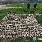 В Одеській області викрили масштабну браконьєрську операцію з уловом на мільйон — ФОТО