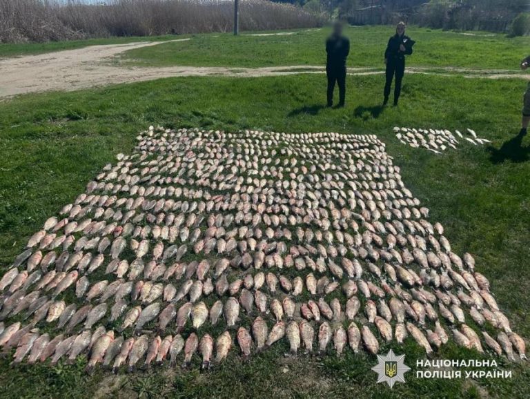 В Одеській області викрили масштабну браконьєрську операцію з уловом на мільйон — ФОТО