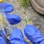 В Одесі затримали жінку за «закладки» — поліцейські виявили наркотики й координати