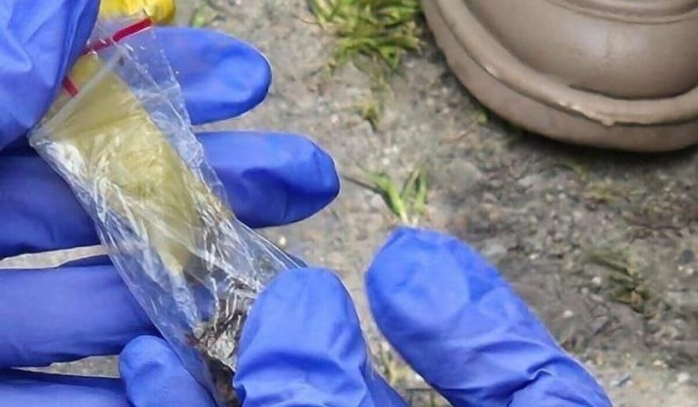 В Одесі затримали жінку за «закладки» — поліцейські виявили наркотики й координати