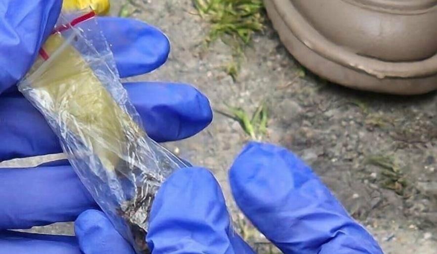 В Одесі затримали жінку за «закладки» — поліцейські виявили наркотики й координати