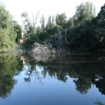 Суд віддав у користь Одеси недобудований спорткомплекс і землю