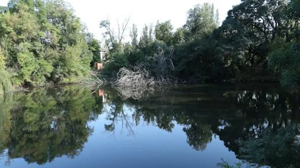 Суд віддав у користь Одеси недобудований спорткомплекс і землю