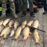 На Одещині затримали браконьєра з уловом майже на 300 тисяч гривень — ФОТО