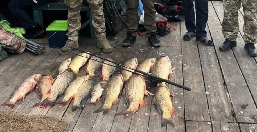 На Одещині затримали браконьєра з уловом майже на 300 тисяч гривень — ФОТО