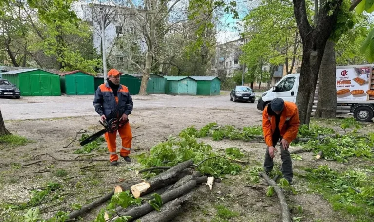 Півсотня повалених унаслідок шторму в Одесі — фото (ОНОВЛЕНО)