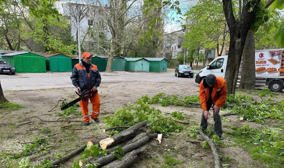 Півсотня повалених унаслідок шторму в Одесі — фото (ОНОВЛЕНО)