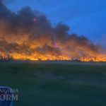 У Рені охопив вогонь очерет: пожежу ліквідували лише вранці