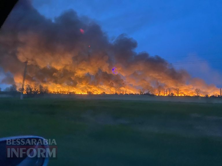 У Рені охопив вогонь очерет: пожежу ліквідували лише вранці