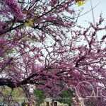 29 квітня в Одесі: прохолодно й без несподіванок