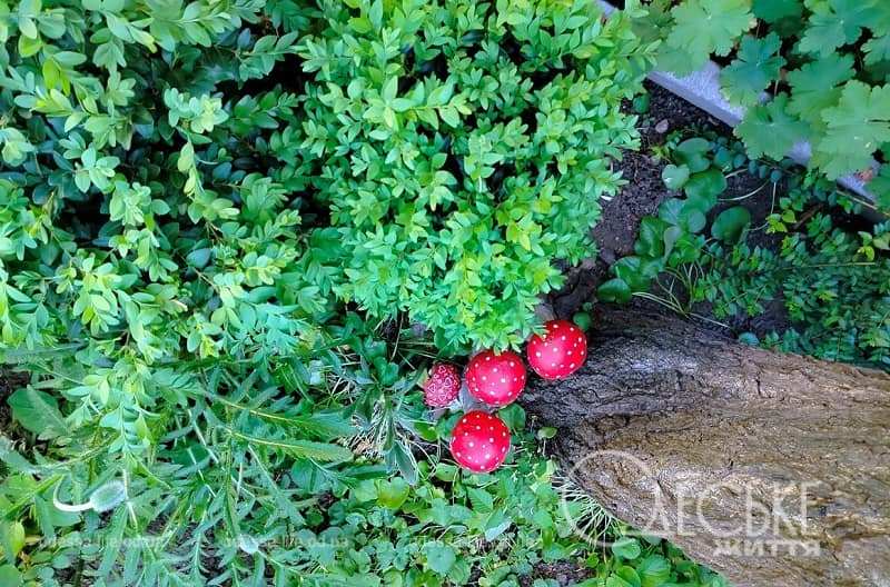 У Одесі 18 квітня: свіжий вітер принесе відчутну прохолоду