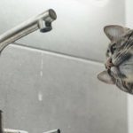 Адреси районів Одеси, які залишаться без води 17 квітня