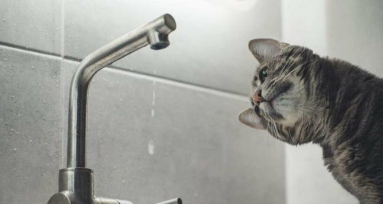 Адреси районів Одеси, які залишаться без води 17 квітня