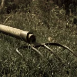 Пенсіонера з Болграда визнали винним у побитті сусіда вилами — він має виплатити потерпілому понад півмільйона гривень