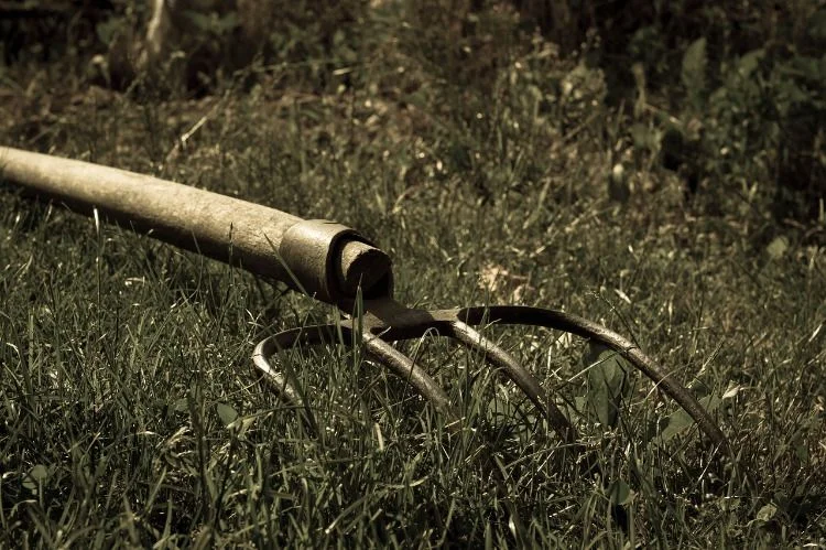 Пенсіонера з Болграда визнали винним у побитті сусіда вилами — він має виплатити потерпілому понад півмільйона гривень