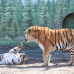 Скандал в Одесі призвів до заміни керівництва зоопарку