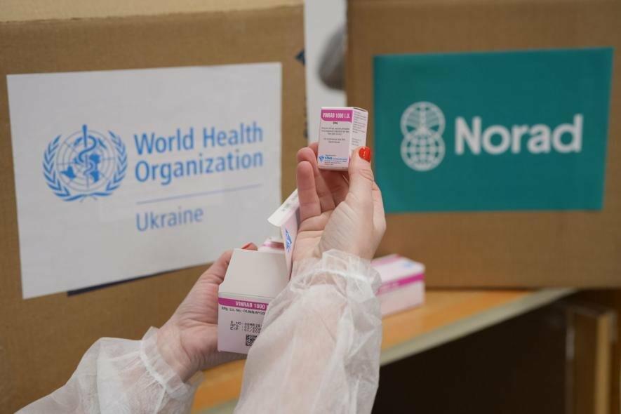 Укус собаки або кота може загрожувати життю: в Одеську область доставлять препарат невідкладної допомоги — ФОТО