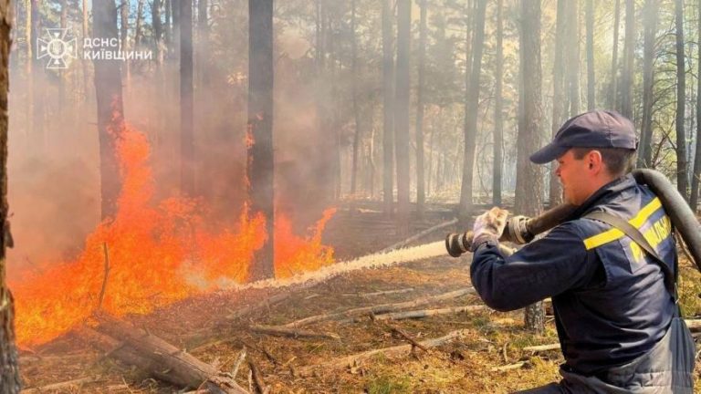 Палає зона Чорнобиля: чи дістанеться дим до Одеси