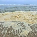 Після шторму на узбережжі Одещини знову виявили розлиту олію