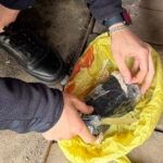В Одесі розкрили масштабну мережу збуту психотропних речовин у регіоні