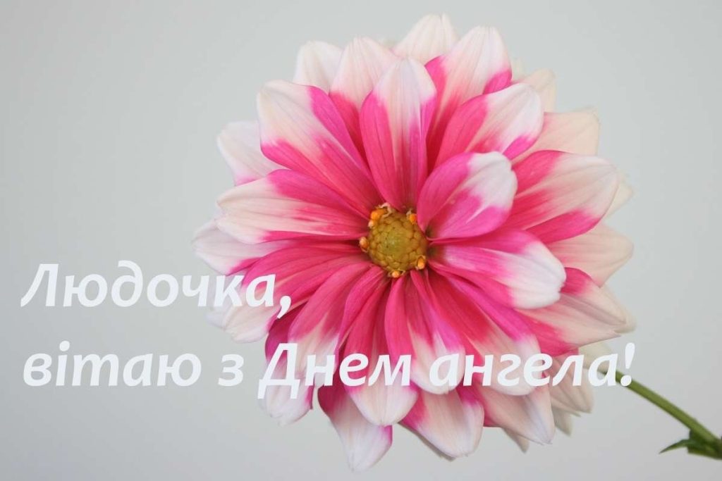 З Днем Англеа Людмила картинка листівка