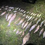 В Одеському районі затримали браконьєра з уловом на 161 тисячу гривень під час заборони — ФОТО