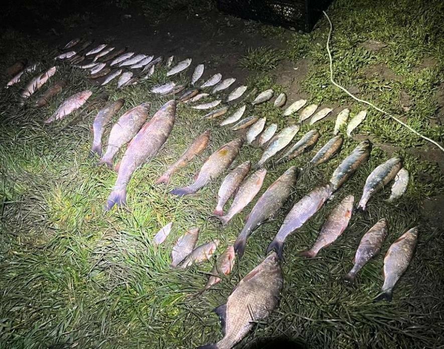В Одеському районі затримали браконьєра з уловом на 161 тисячу гривень під час заборони — ФОТО