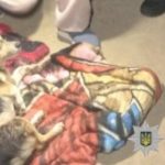 В Одеській області чоловік відкрив вогонь по собаці: що відомо