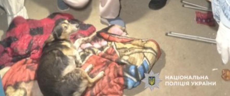 В Одеській області чоловік відкрив вогонь по собаці: що відомо