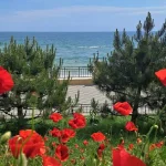 29 травня біля Одеси: вода Чорного моря дещо прохолола