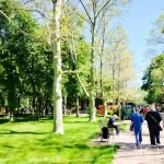 Атмосферний парк Одеси розкриває таємниці: лабіринт життя, сліди Марка Твена й вікові дуби