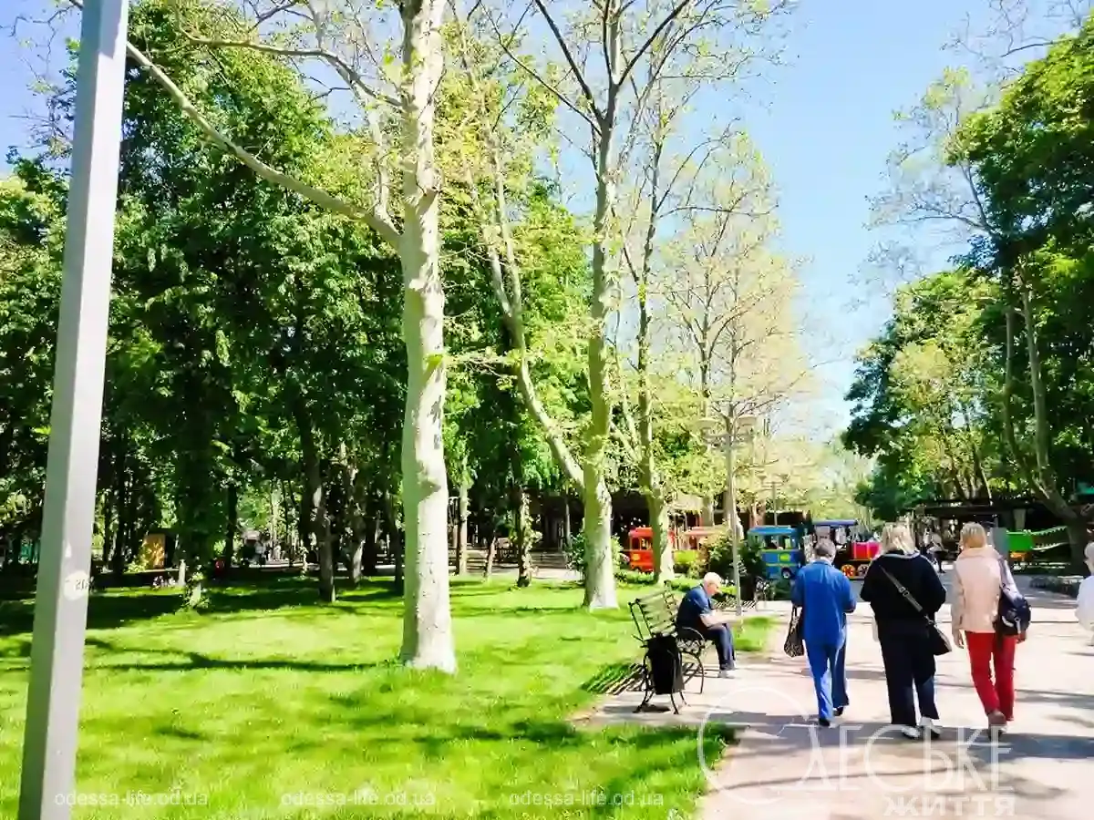 Атмосферний парк Одеси розкриває таємниці: лабіринт життя, сліди Марка Твена й вікові дуби
