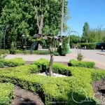 Вночі 28 травня в Одесі прогнозують дощі та похолодання