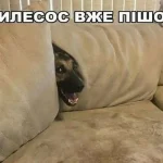 Одеса жартує: за два тижні — літо, а до п’ятниці — один рішучий крок