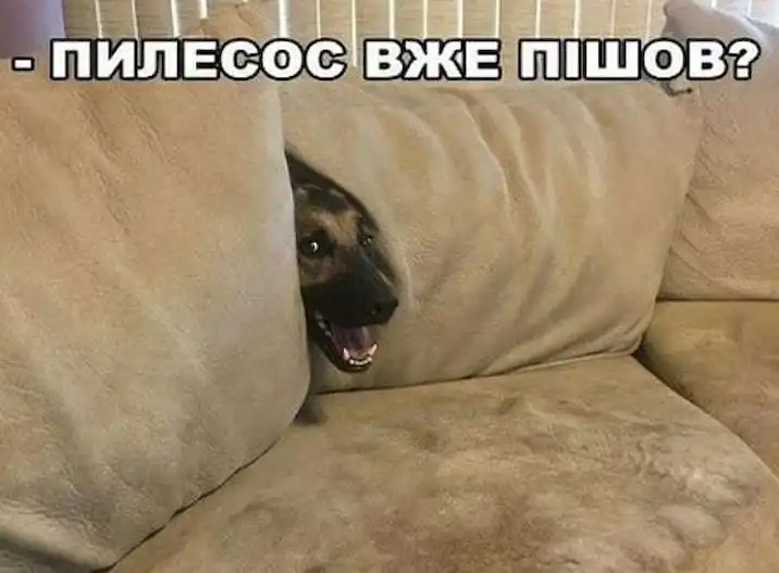 Одеса жартує: за два тижні — літо, а до п’ятниці — один рішучий крок