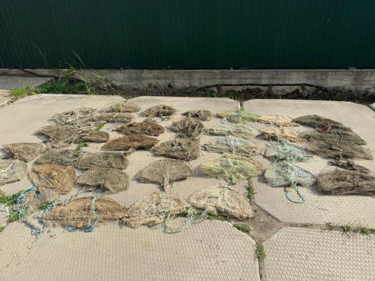 В Одещині звільнили майже 180 раків із браконьєрських пасток