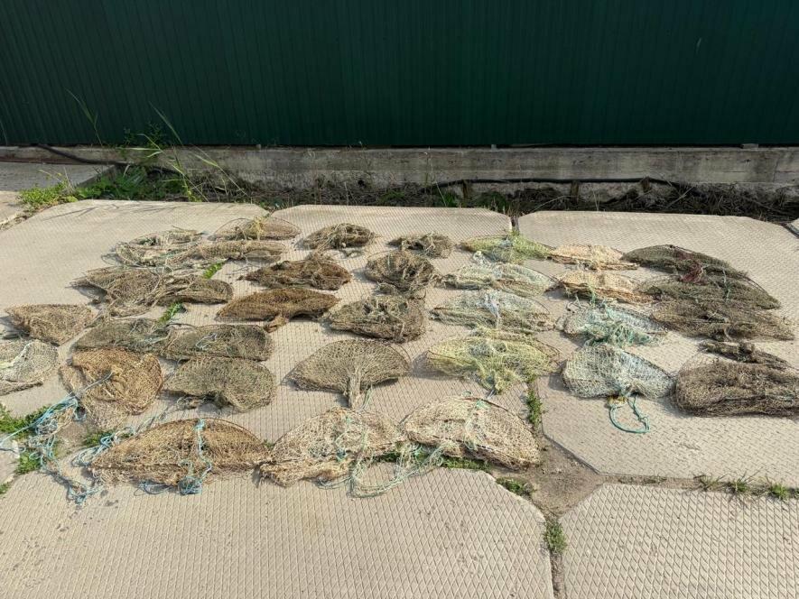 В Одещині звільнили майже 180 раків із браконьєрських пасток