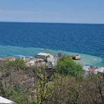 Масляна пляма відступає, проте не зникає: що чекати відпочивальникам на одеському узбережжі цього літа
