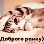 Недільний заряд одеського гумору — зловіть усмішку й рознесіть її світом