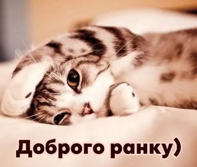 Недільний заряд одеського гумору — зловіть усмішку й рознесіть її світом