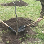 Одеський сквер став місцем пам’яті й символом мужності морпіхів — ФОТО